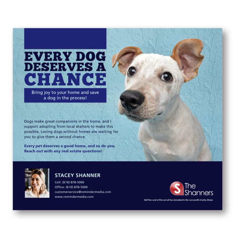 Charity dogs post card