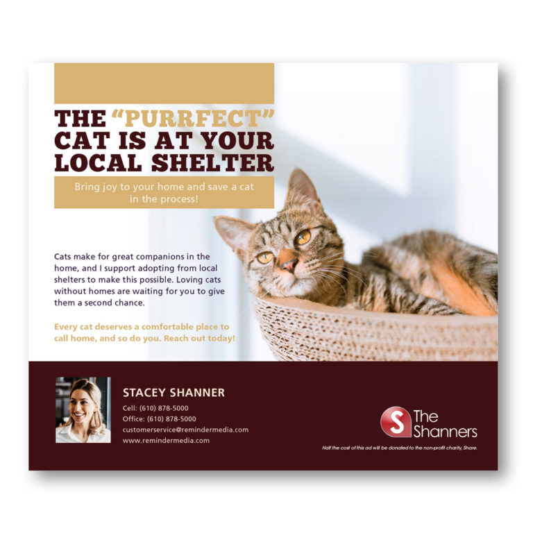 Charity cat post card